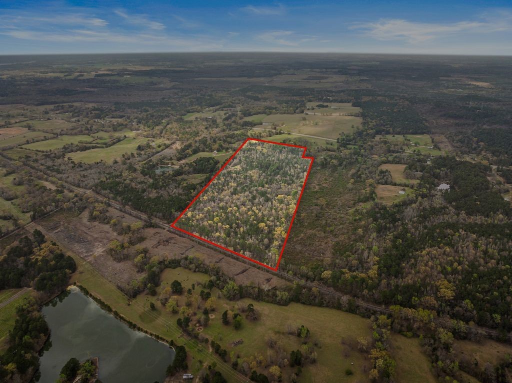 CR1124 Old Highway 11 Road Daingerfield TX 75638