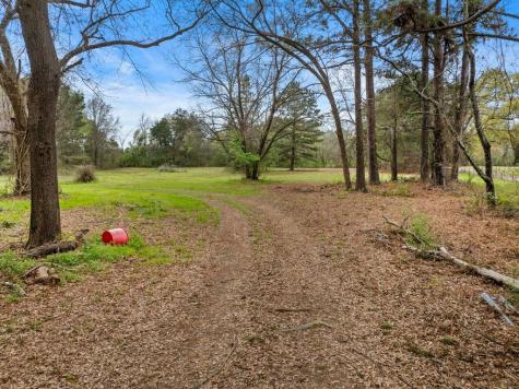 CR1124 Old Highway 11 Road Daingerfield TX 75638