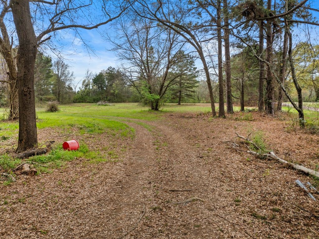 CR1124 Old Highway 11 Road Daingerfield TX 75638