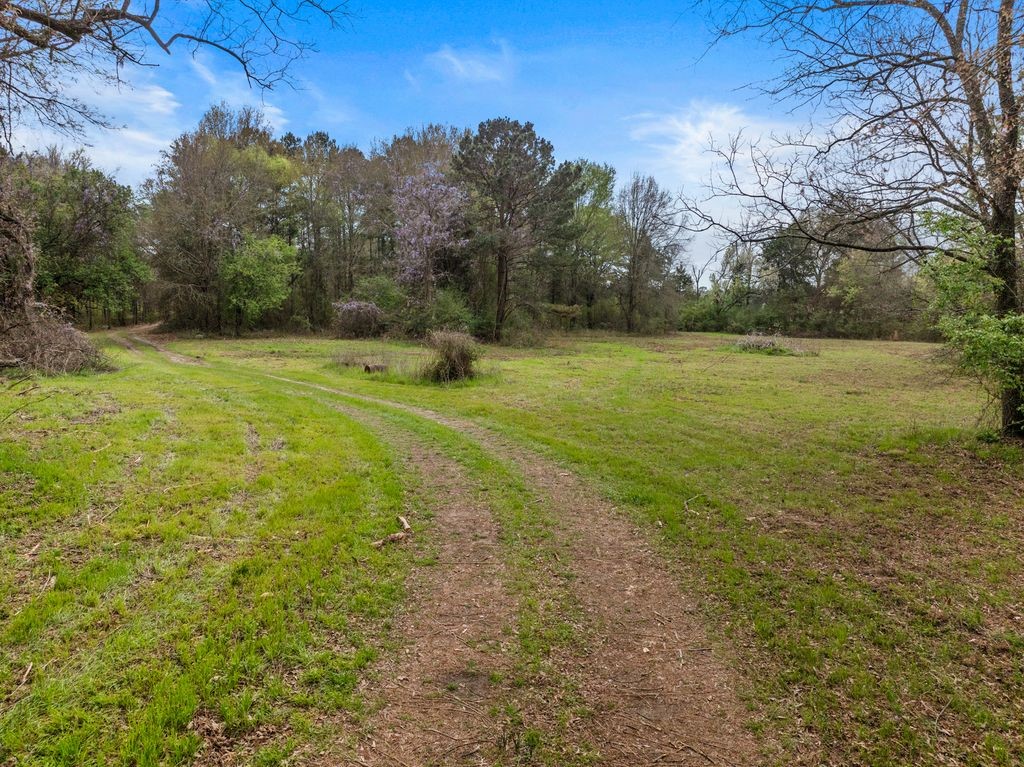 CR1124 Old Highway 11 Road Daingerfield TX 75638