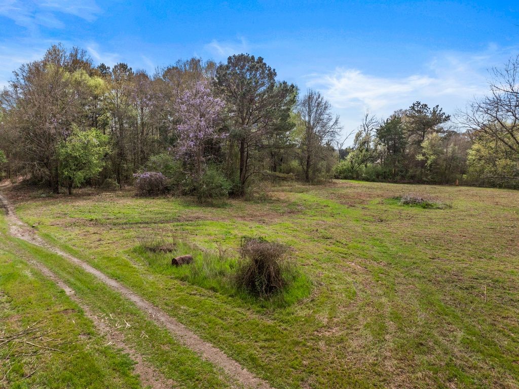 CR1124 Old Highway 11 Road Daingerfield TX 75638