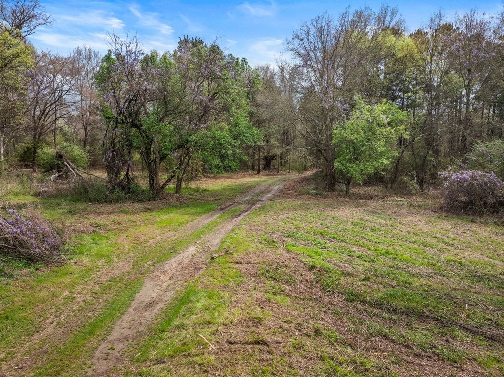 CR1124 Old Highway 11 Road Daingerfield TX 75638