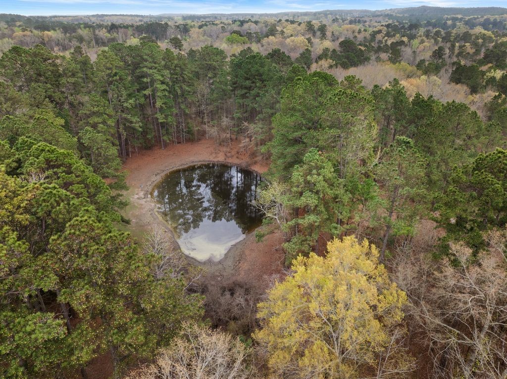 CR1124 Old Highway 11 Road Daingerfield TX 75638