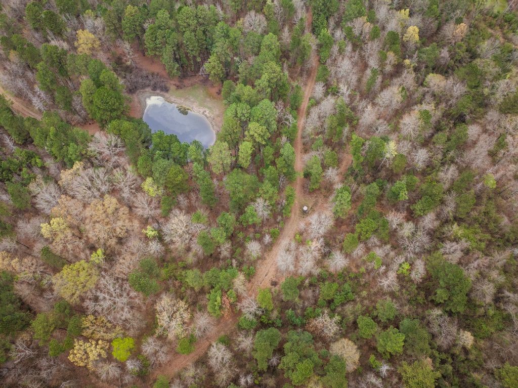 CR1124 Old Highway 11 Road Daingerfield TX 75638