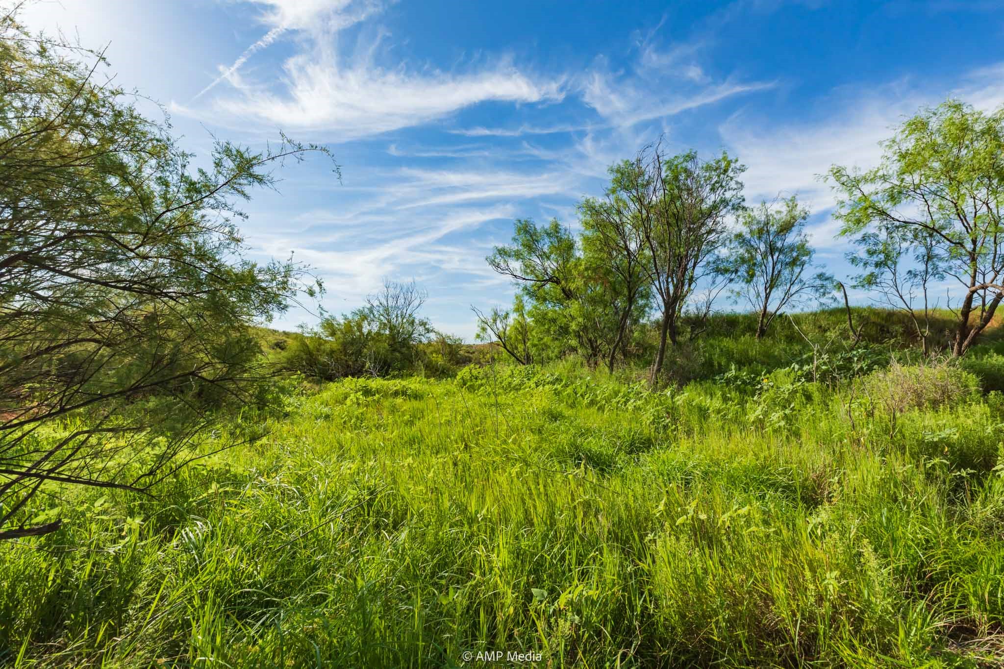 Tbd Fm 610 Rotan TX 79546