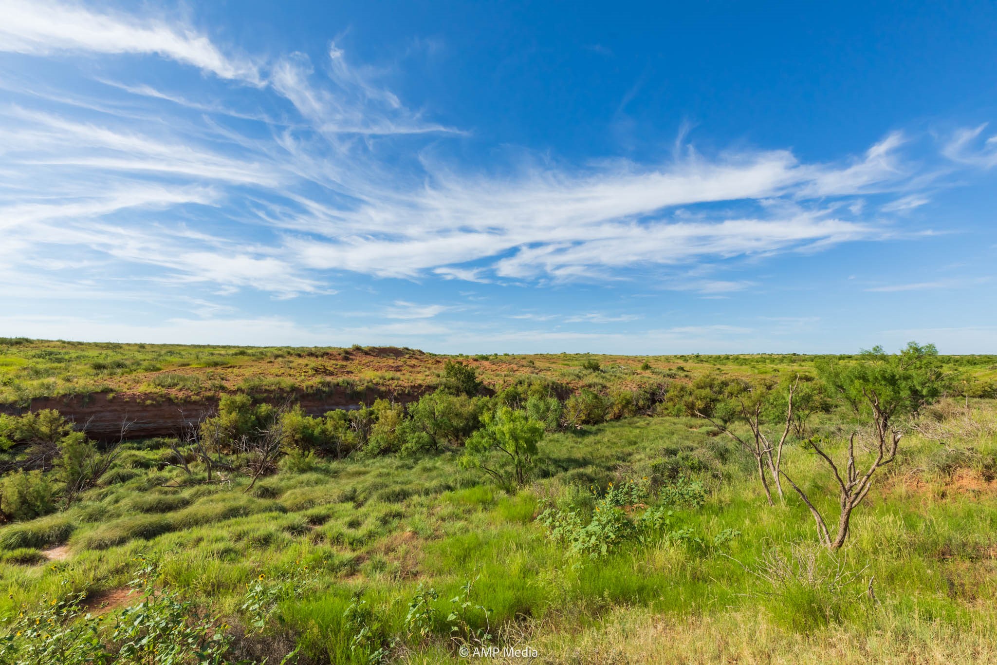 Tbd Fm 610 Rotan TX 79546