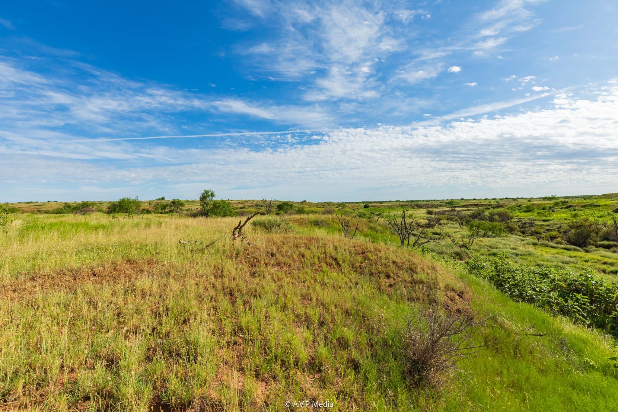 Tbd Fm 610 Rotan TX 79546