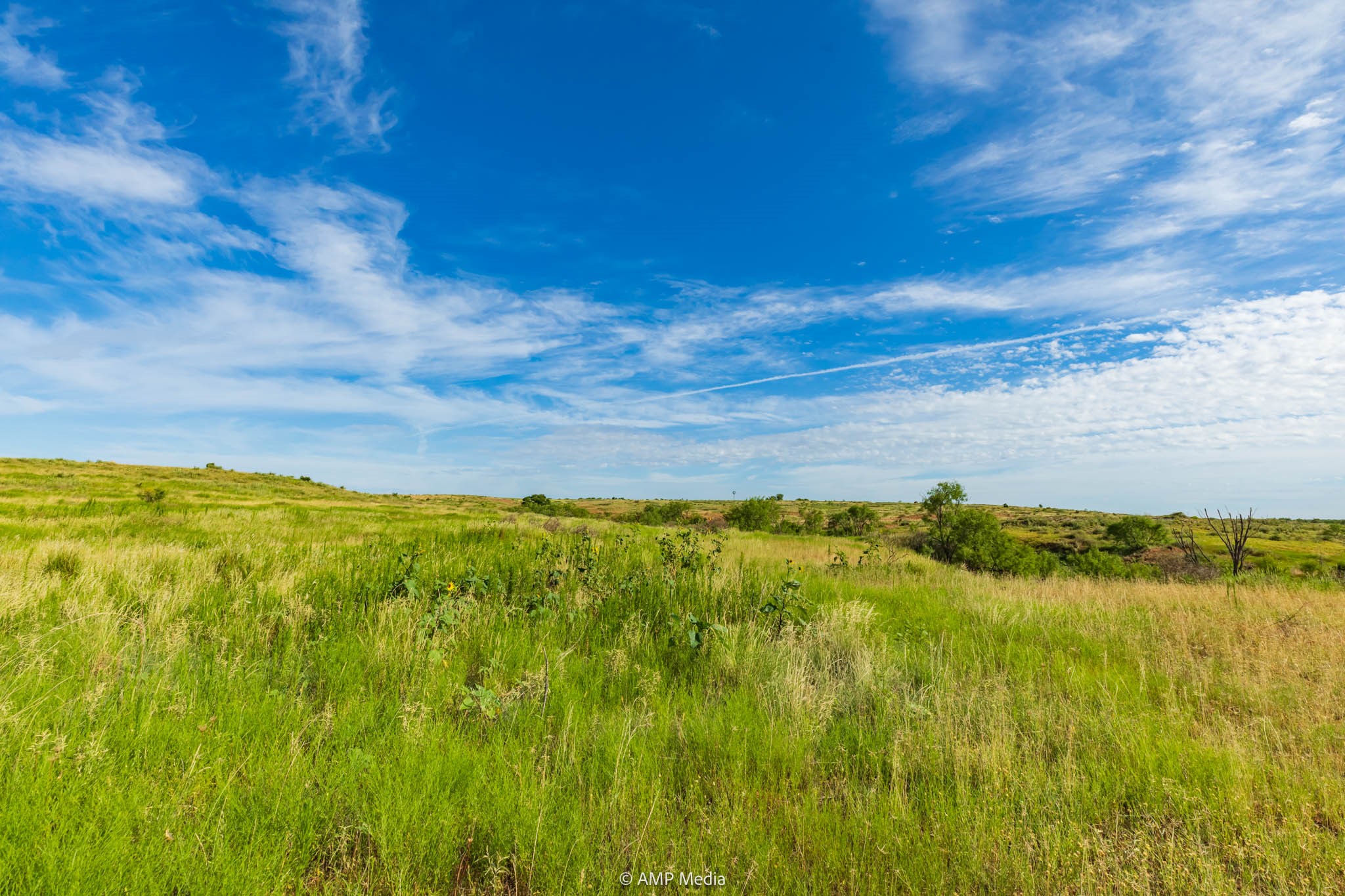 Tbd Fm 610 Rotan TX 79546