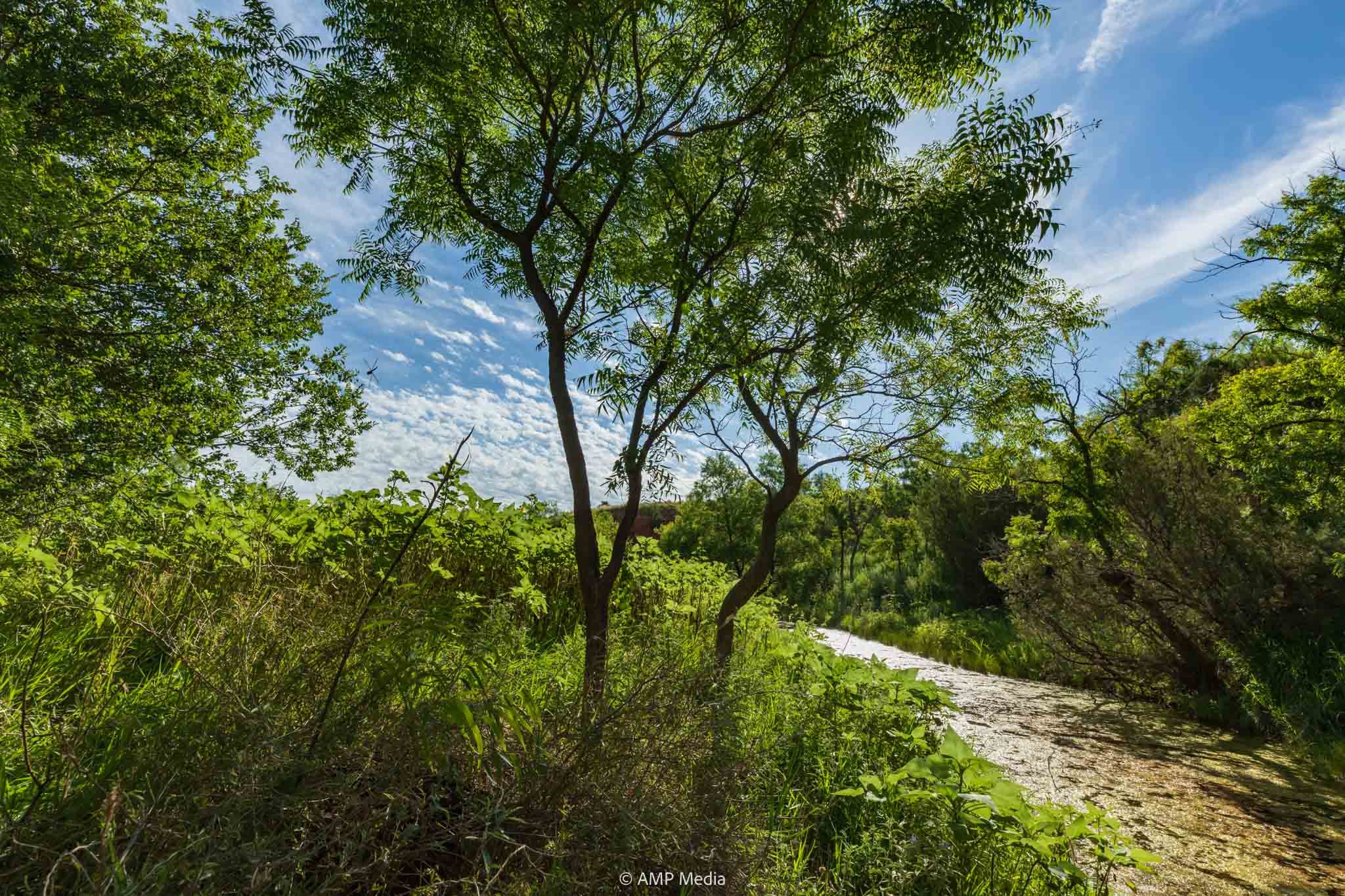 Tbd Fm 610 Rotan TX 79546