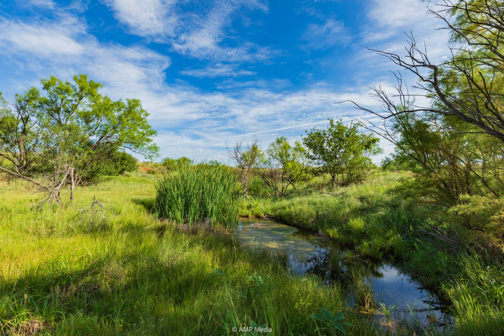 Tbd Fm 610 Rotan TX 79546