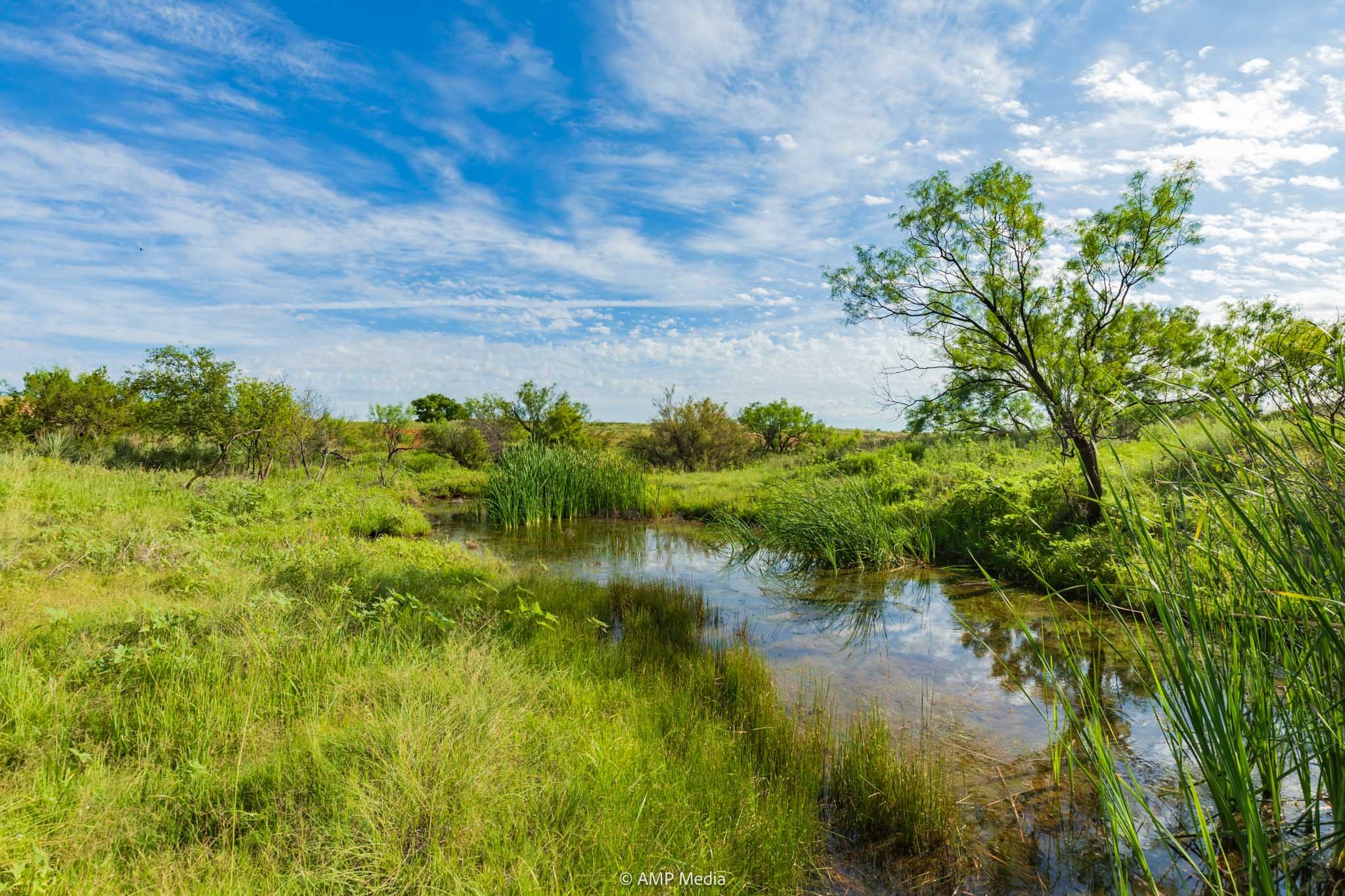 Tbd Fm 610 Rotan TX 79546