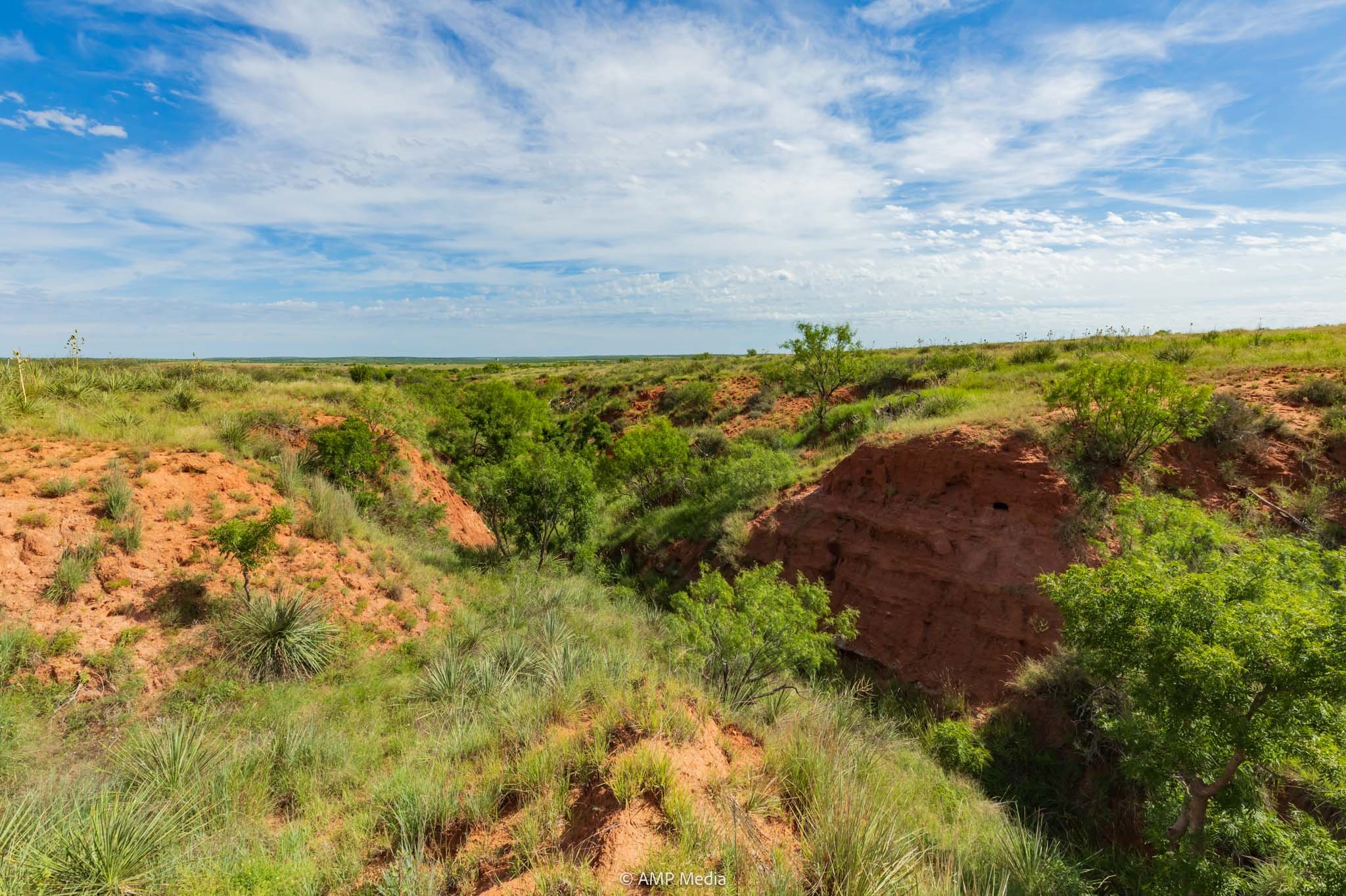 Tbd Fm 610 Rotan TX 79546