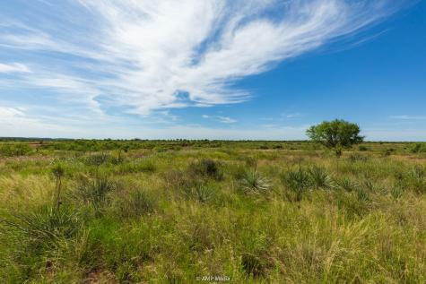 Tbd Fm 610 Rotan TX 79546