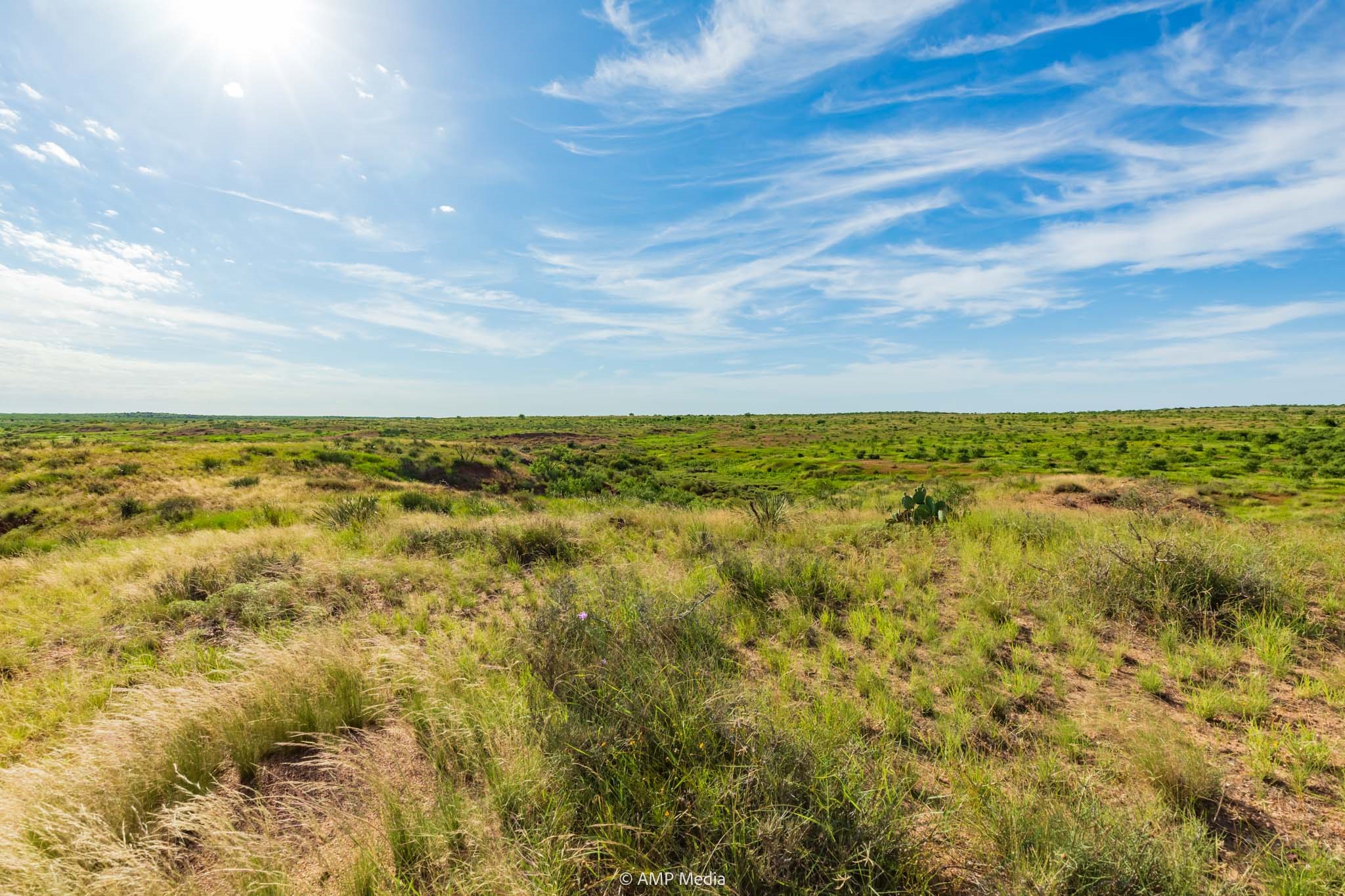 Tbd Fm 610 Rotan TX 79546