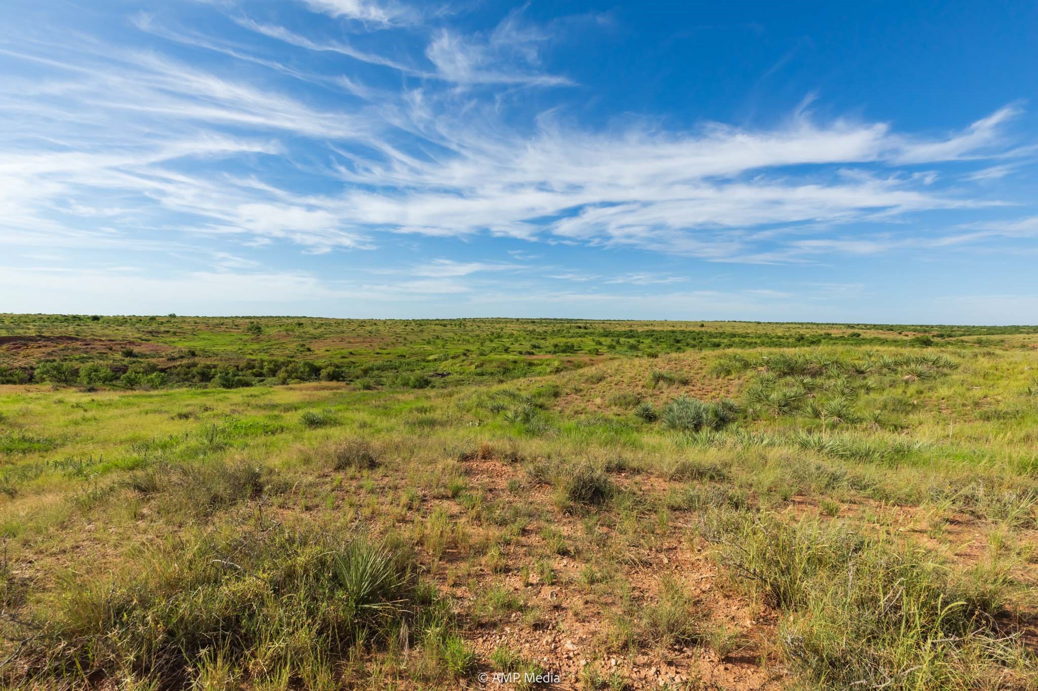 Tbd Fm 610 Rotan TX 79546