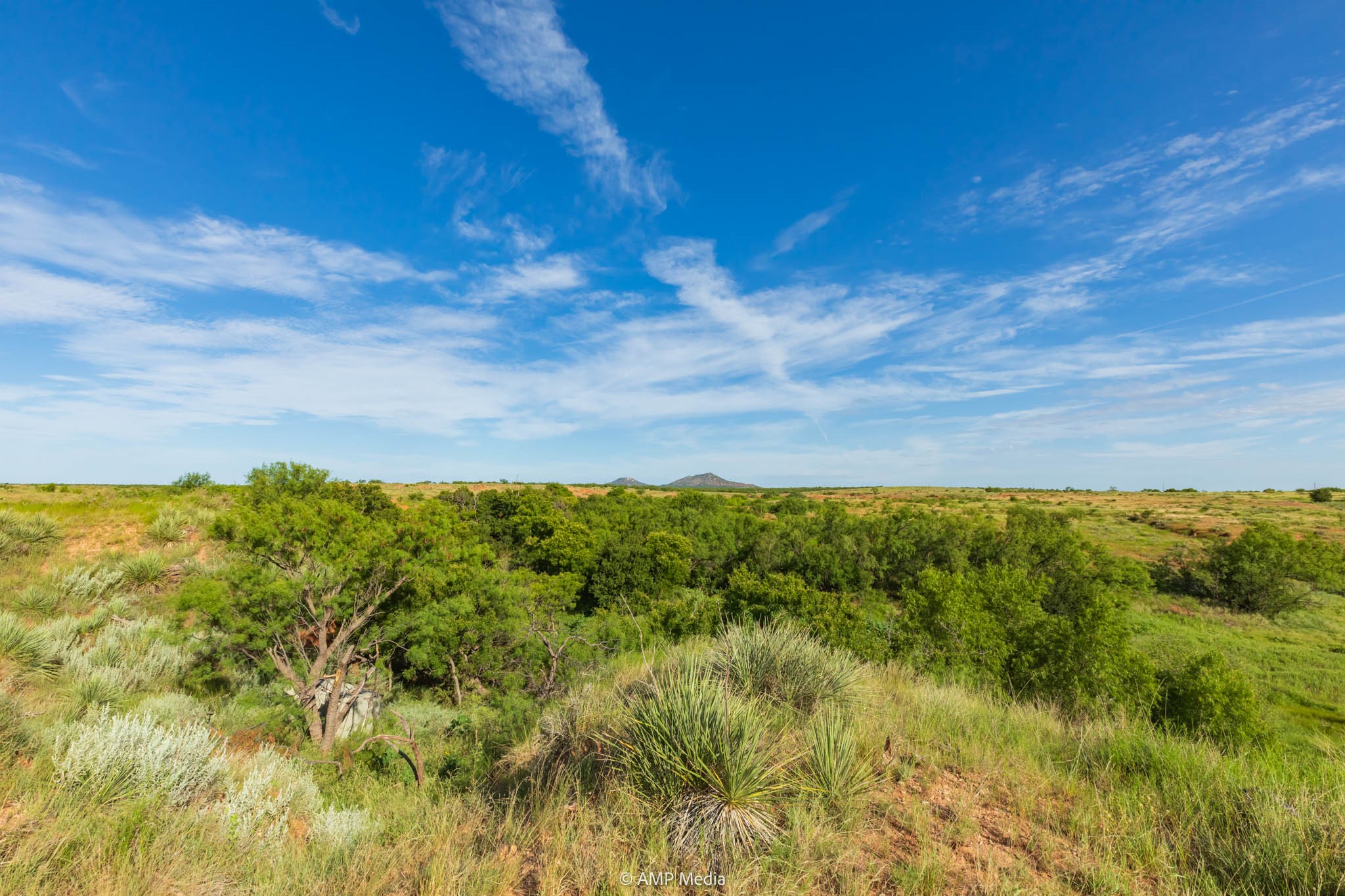 Tbd Fm 610 Rotan TX 79546