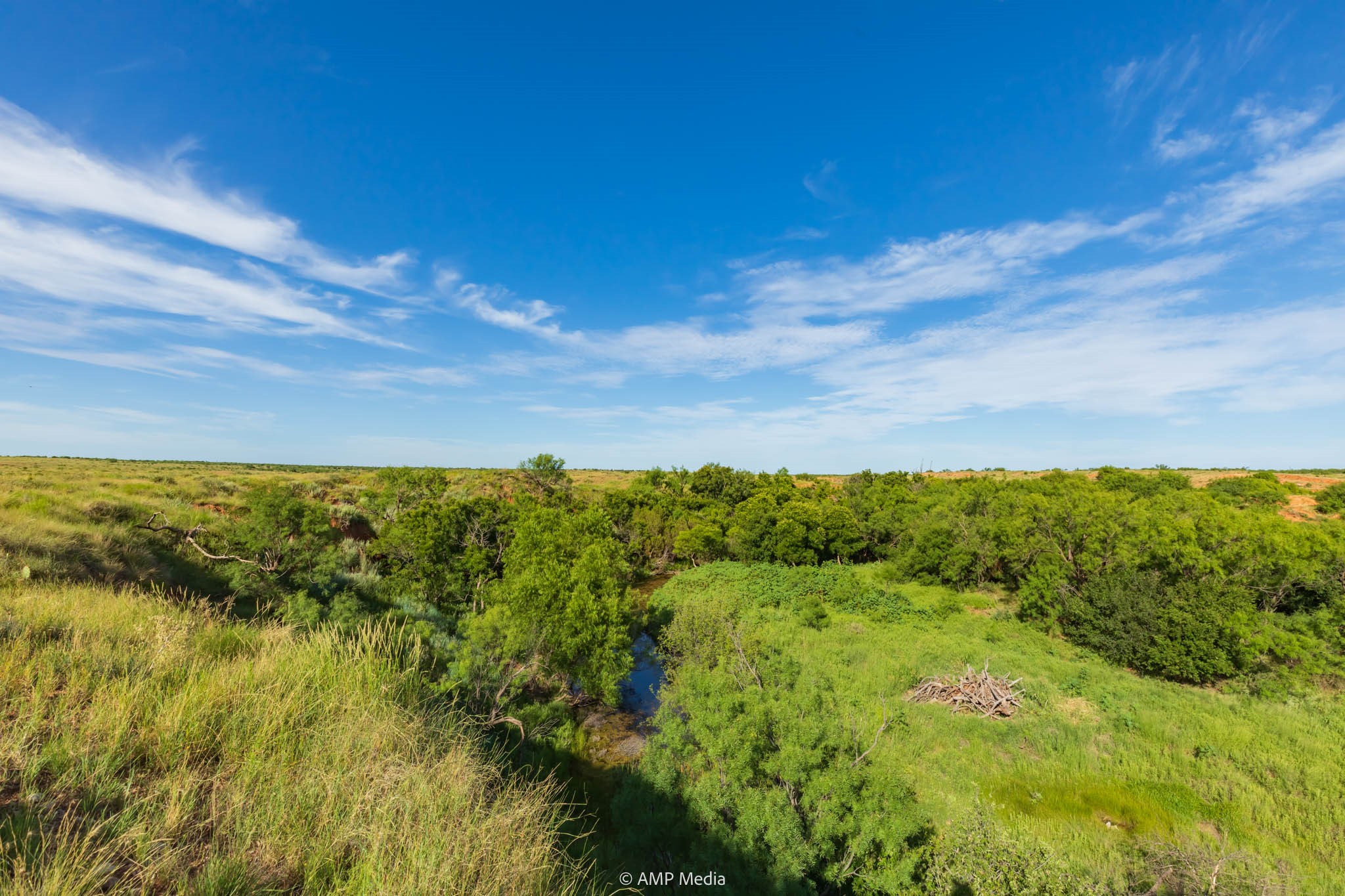 Tbd Fm 610 Rotan TX 79546