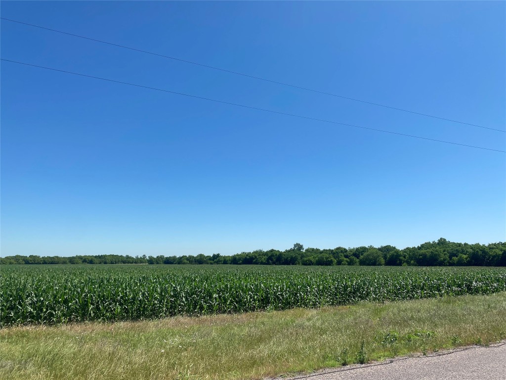Tbd Cr 637-lot 1 Nevada TX 75173