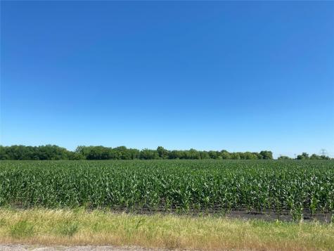Tbd Cr 637-lot 1 Nevada TX 75173