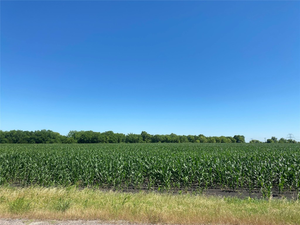 Tbd Cr 637-lot 1 Nevada TX 75173