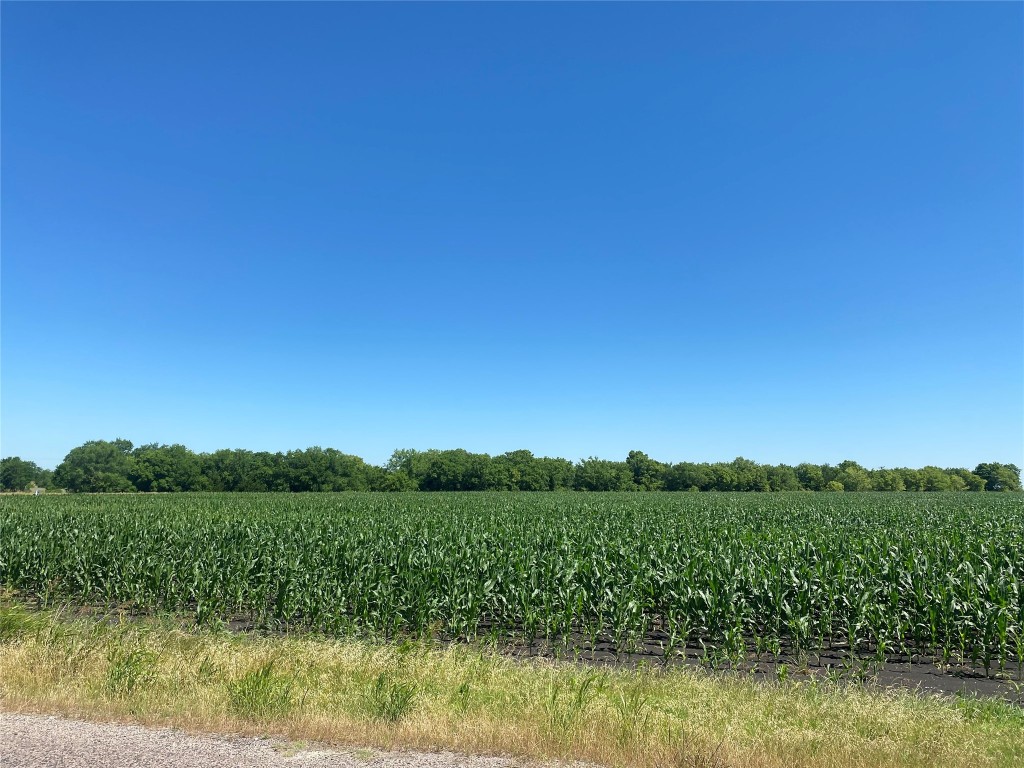 Tbd Cr 637-lot 1 Nevada TX 75173