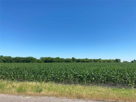 Tbd Cr 637-lot 1 Nevada TX 75173