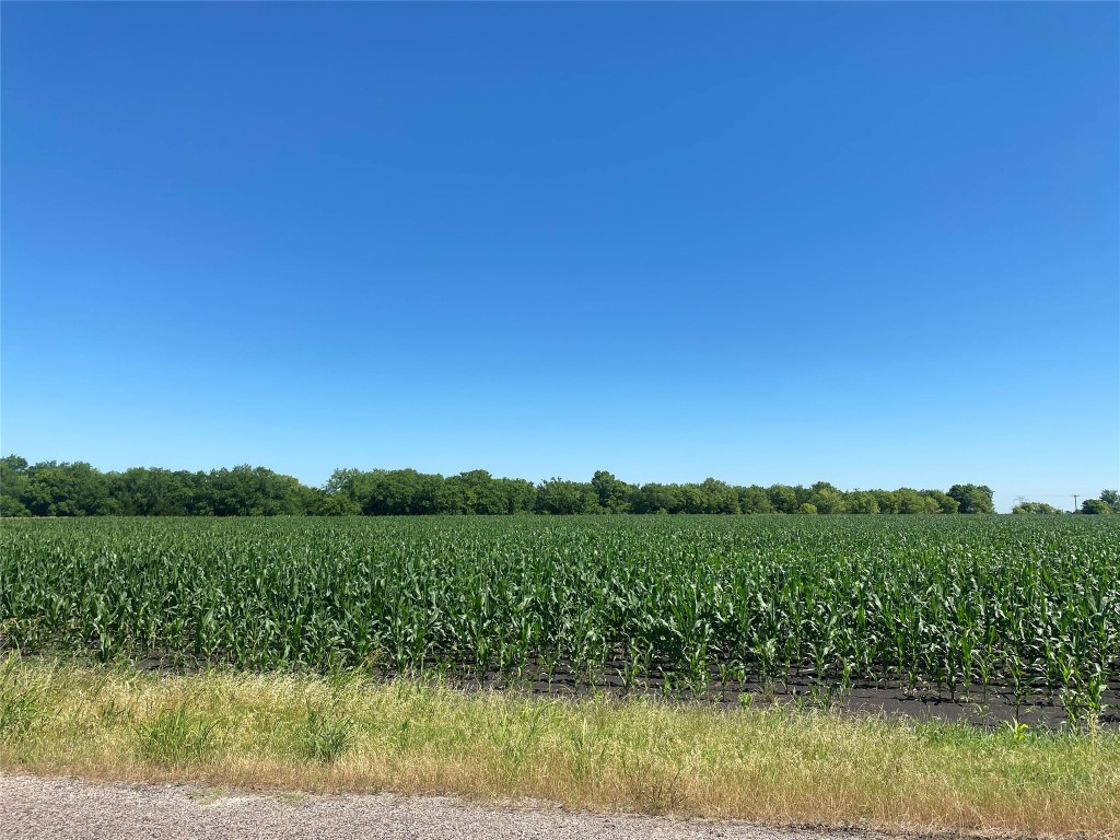 Tbd Cr 637-lot 1 Nevada TX 75173