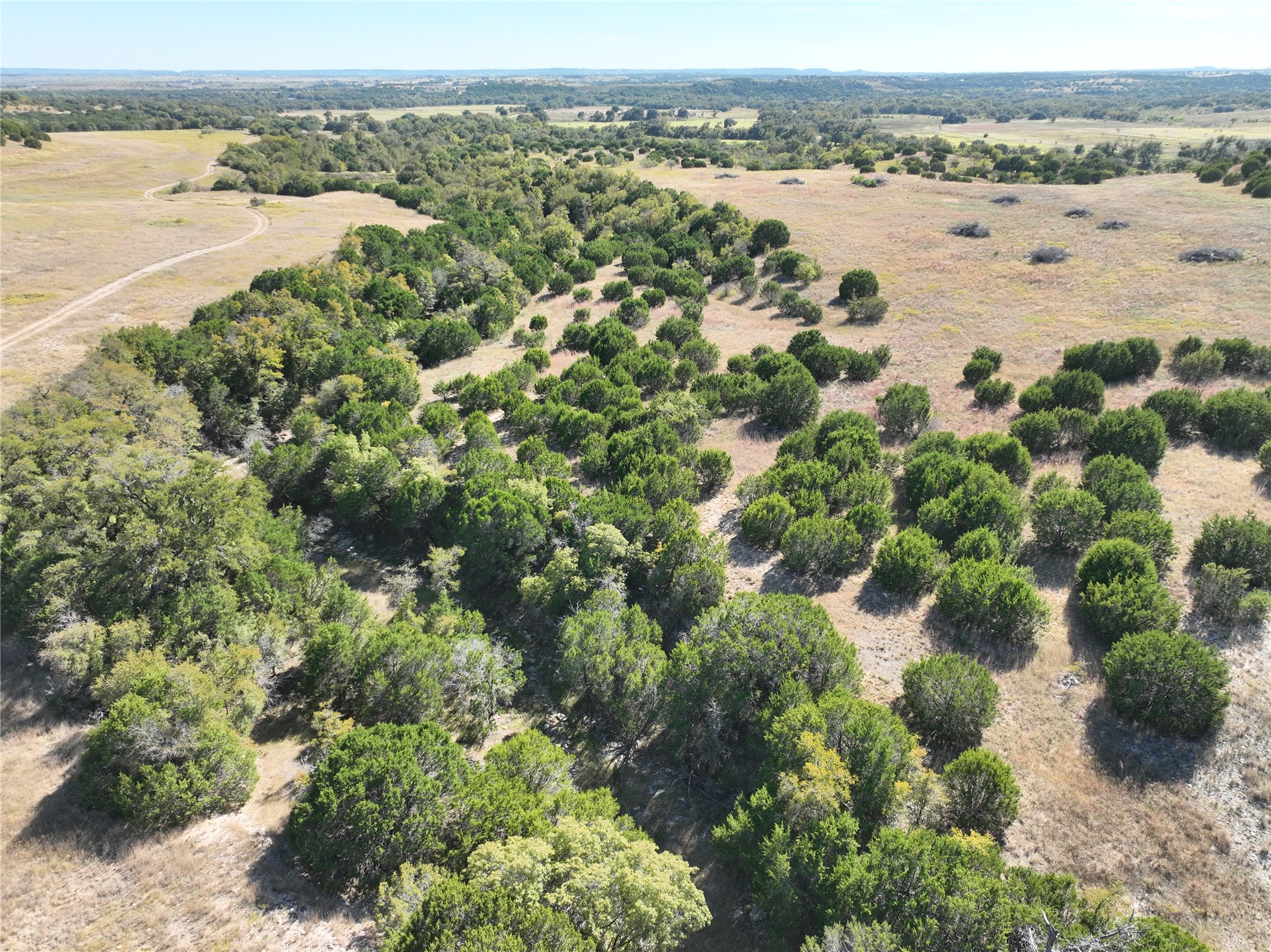 8901 Edwards Road Bluff Dale TX 76433
