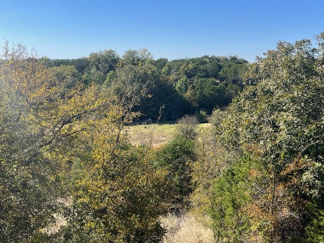 8901 Edwards Road Bluff Dale TX 76433