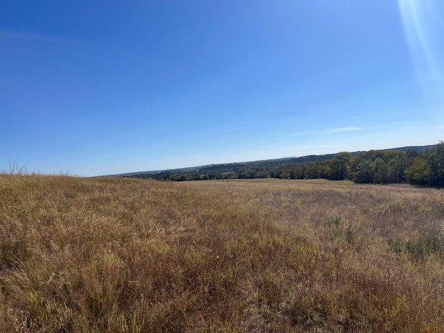 8901 Edwards Road Bluff Dale TX 76433