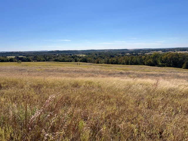 8901 Edwards Road Bluff Dale TX 76433
