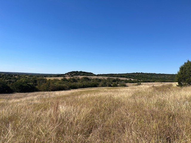8901 Edwards Road Bluff Dale TX 76433