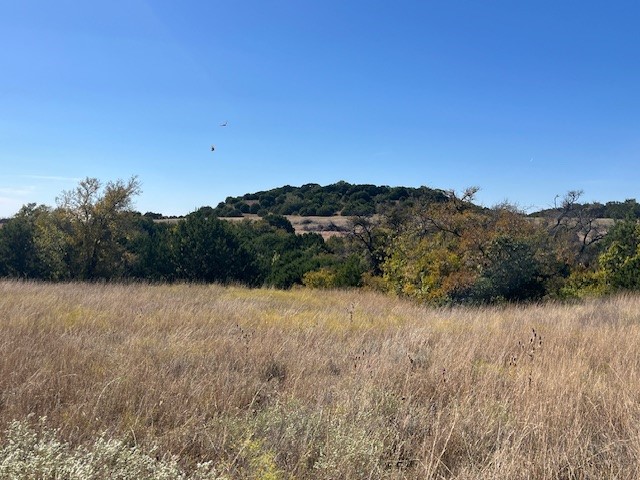 8901 Edwards Road Bluff Dale TX 76433