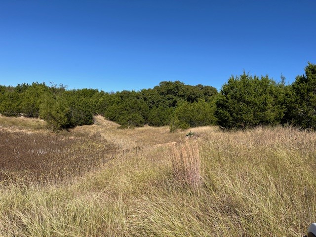 8901 Edwards Road Bluff Dale TX 76433
