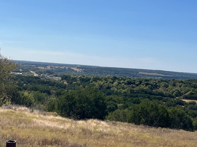 8901 Edwards Road Bluff Dale TX 76433