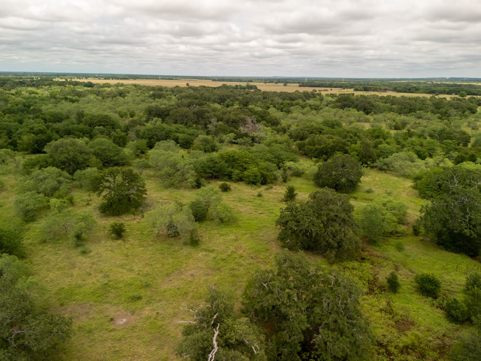 Tract 3 Countyroad 178 Riesel TX 76682