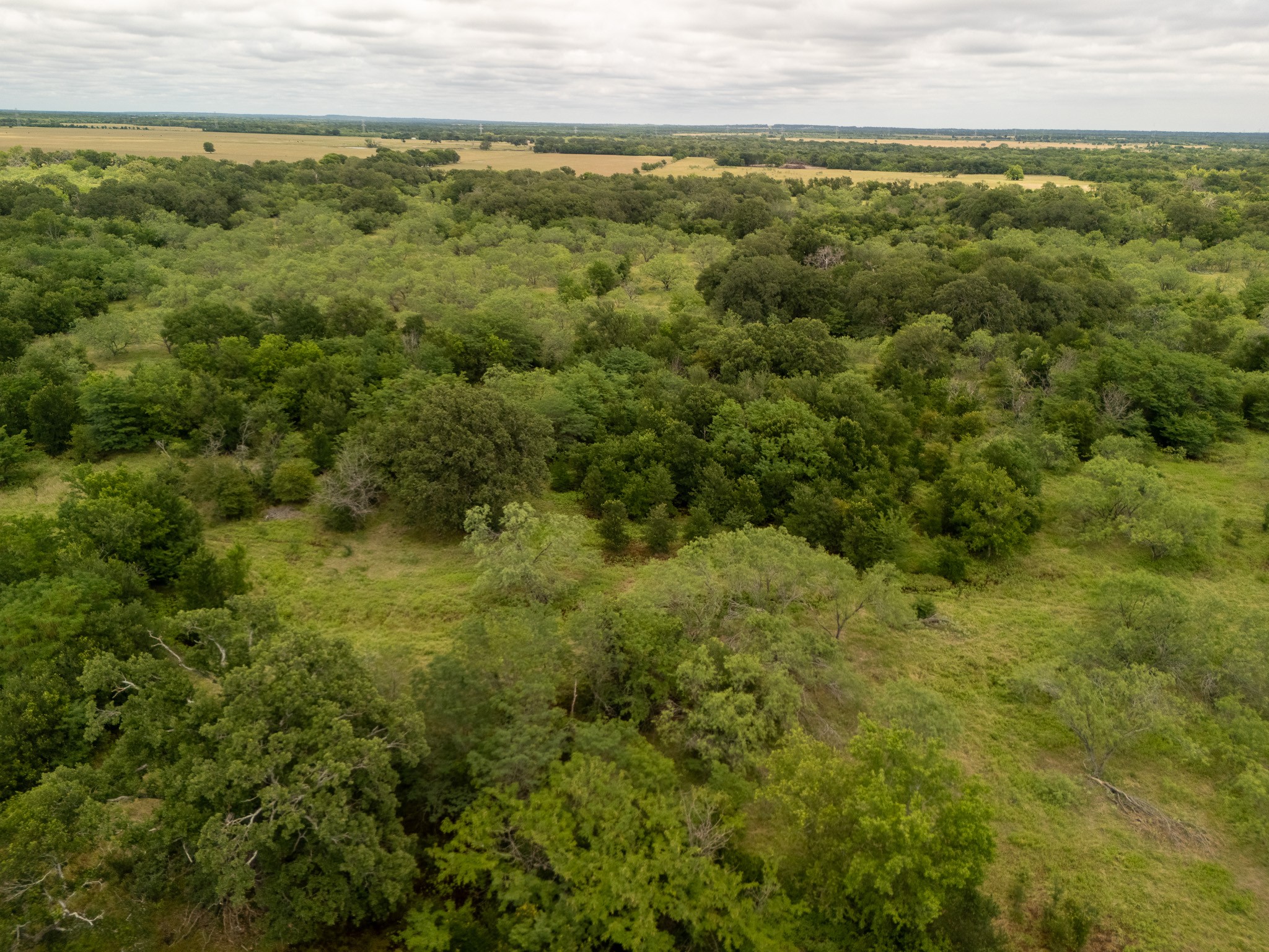 Tract 3 Countyroad 178 Riesel TX 76682