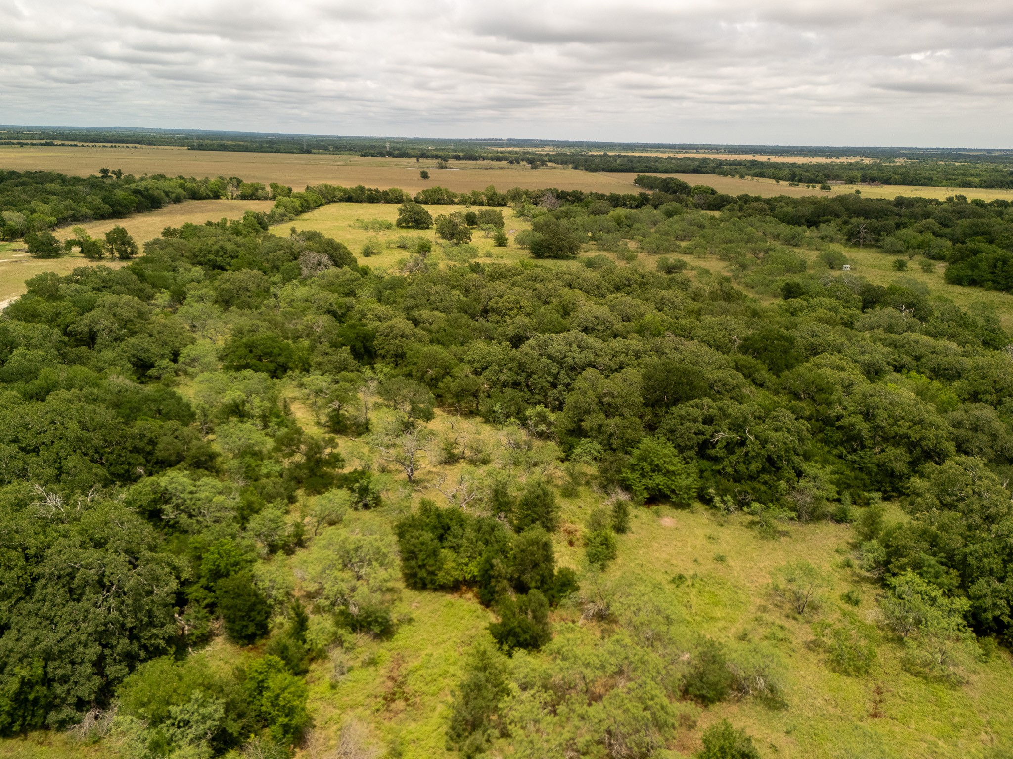 Tract 3 Countyroad 178 Riesel TX 76682