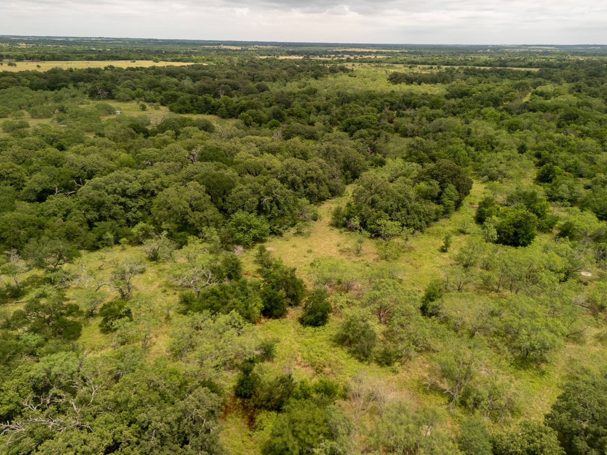 Tract 3 Countyroad 178 Riesel TX 76682