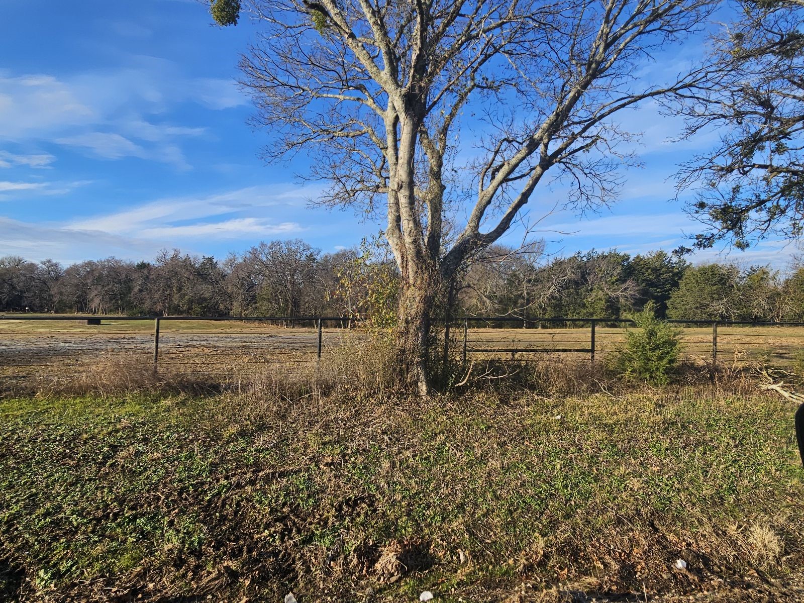 Lot 2 Joe Ramsey Boulevard Greenville TX 75402