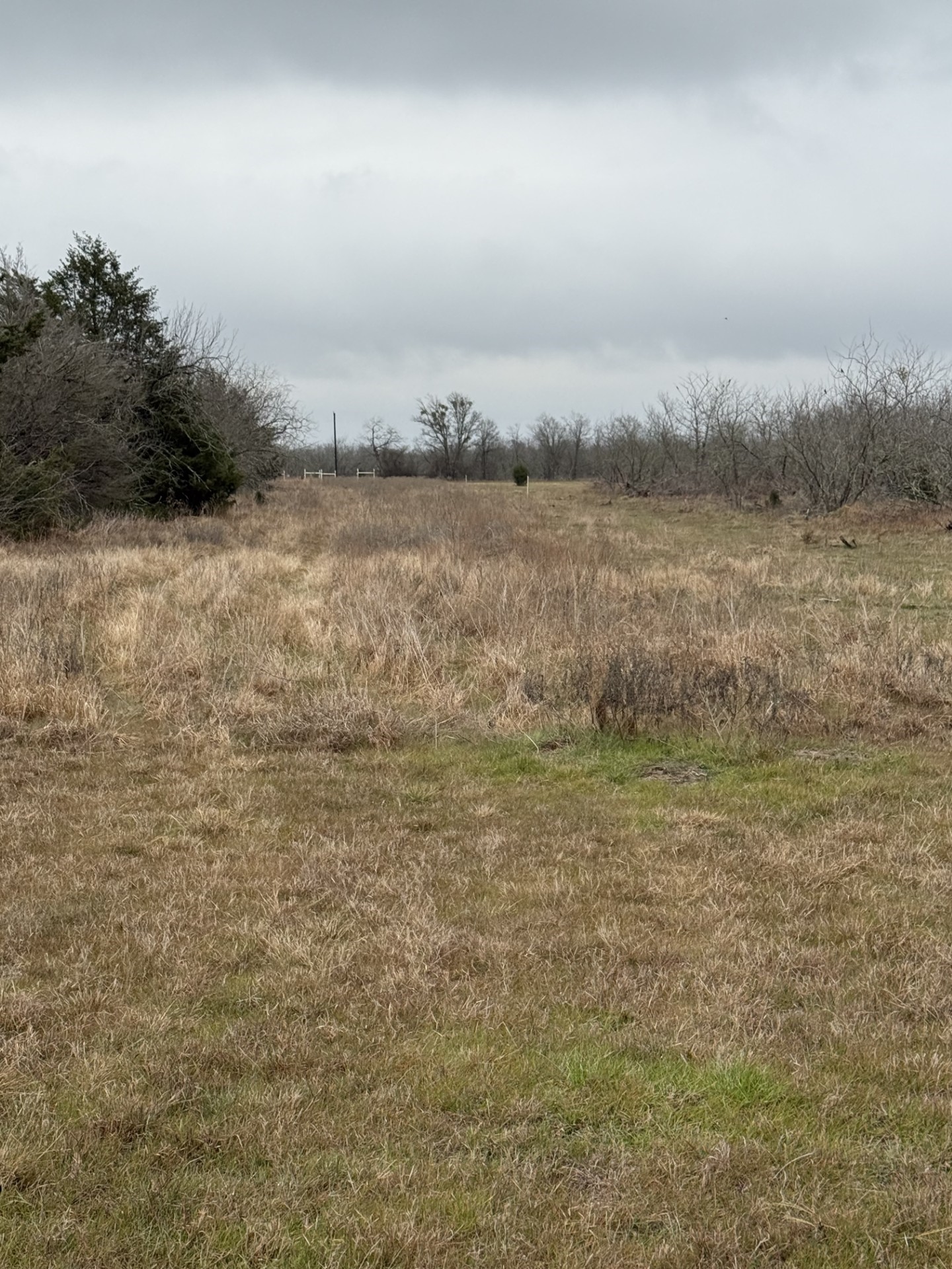 251 Lcr 658 Thornton TX 76687