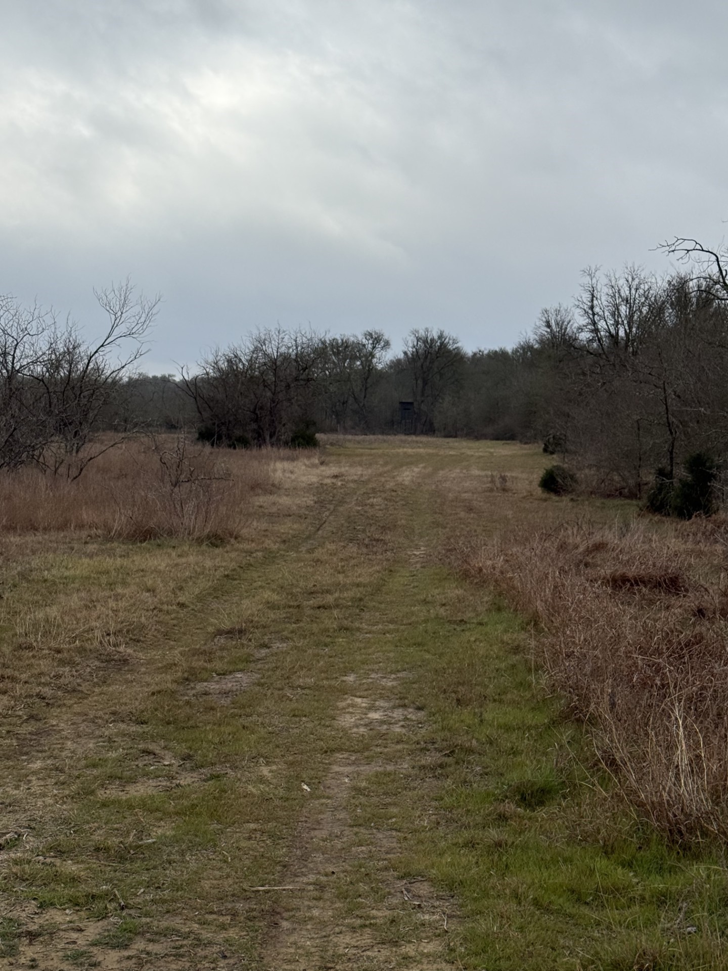 251 Lcr 658 Thornton TX 76687