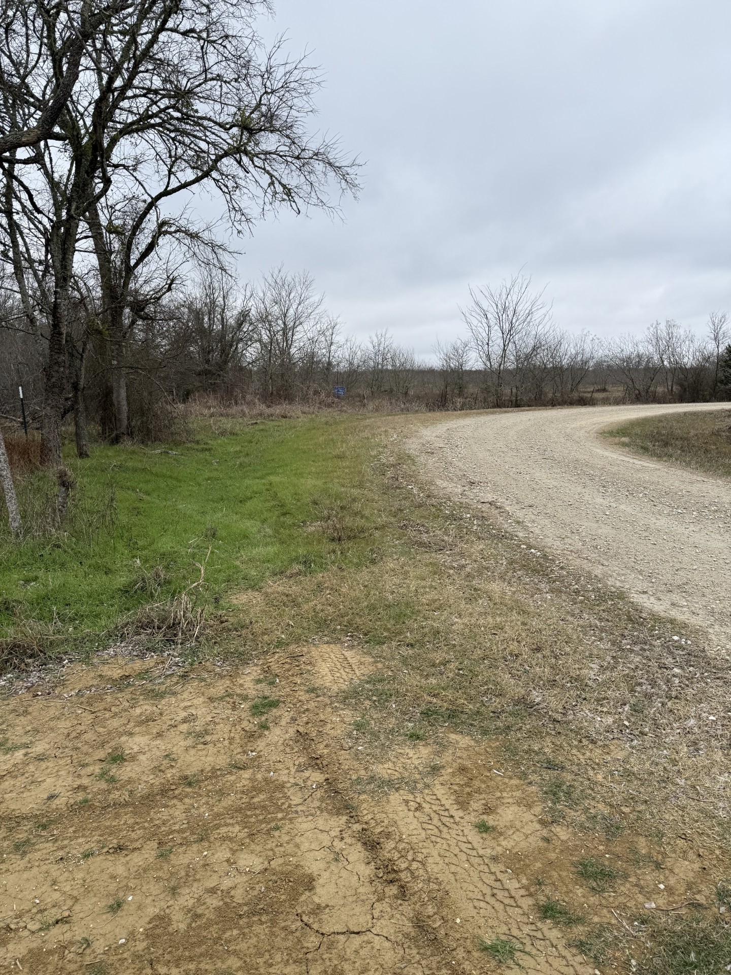 251 Lcr 658 Thornton TX 76687