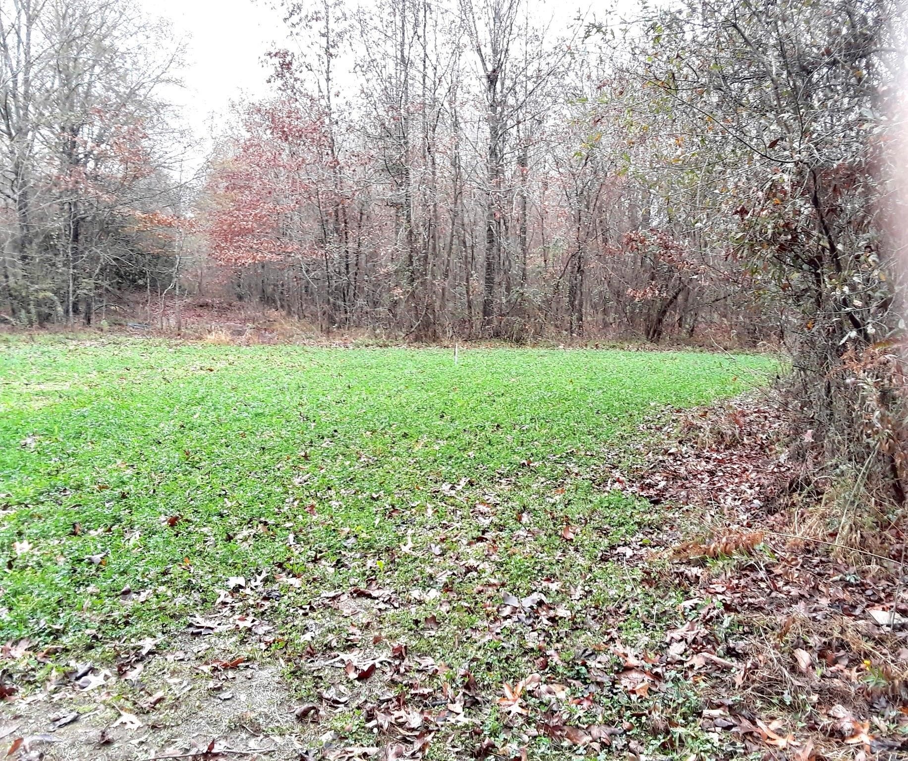 Tbd Shawnee Avery TX 75554