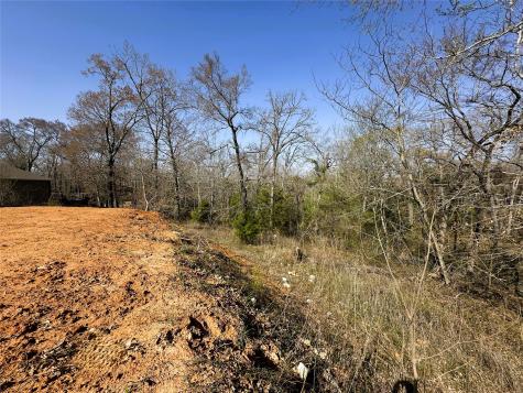 110 Elmwood Court Palestine TX 75801