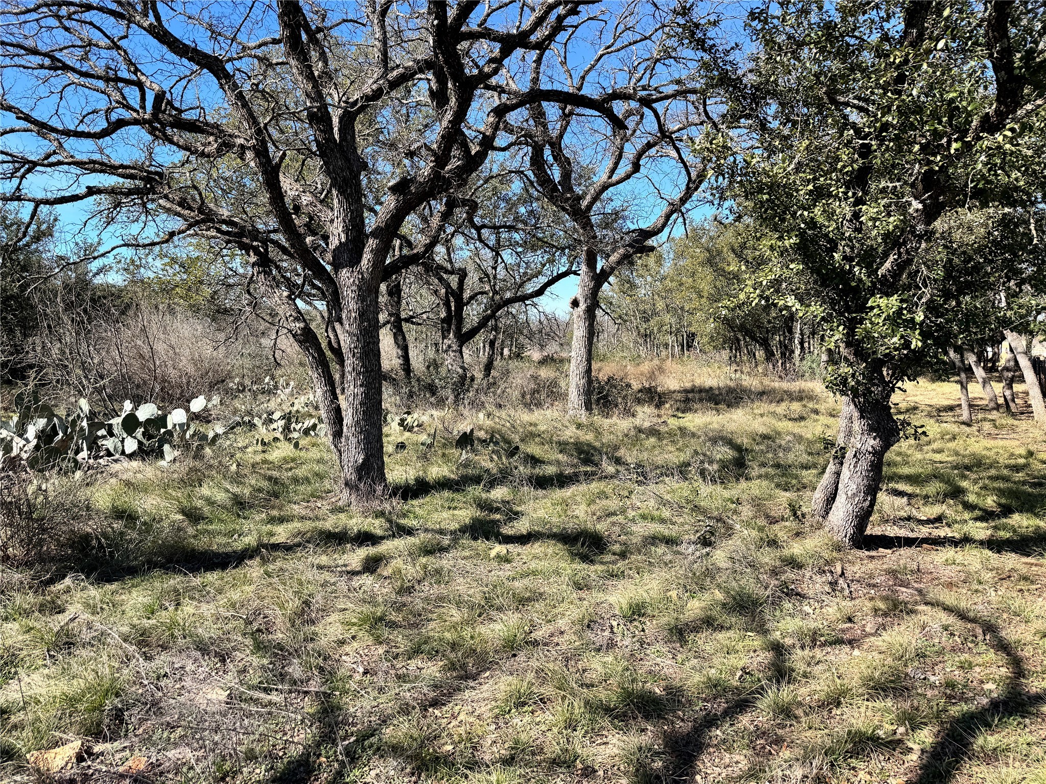 Tbd Lot 240 Feather Bay Drive Brownwood TX 76801