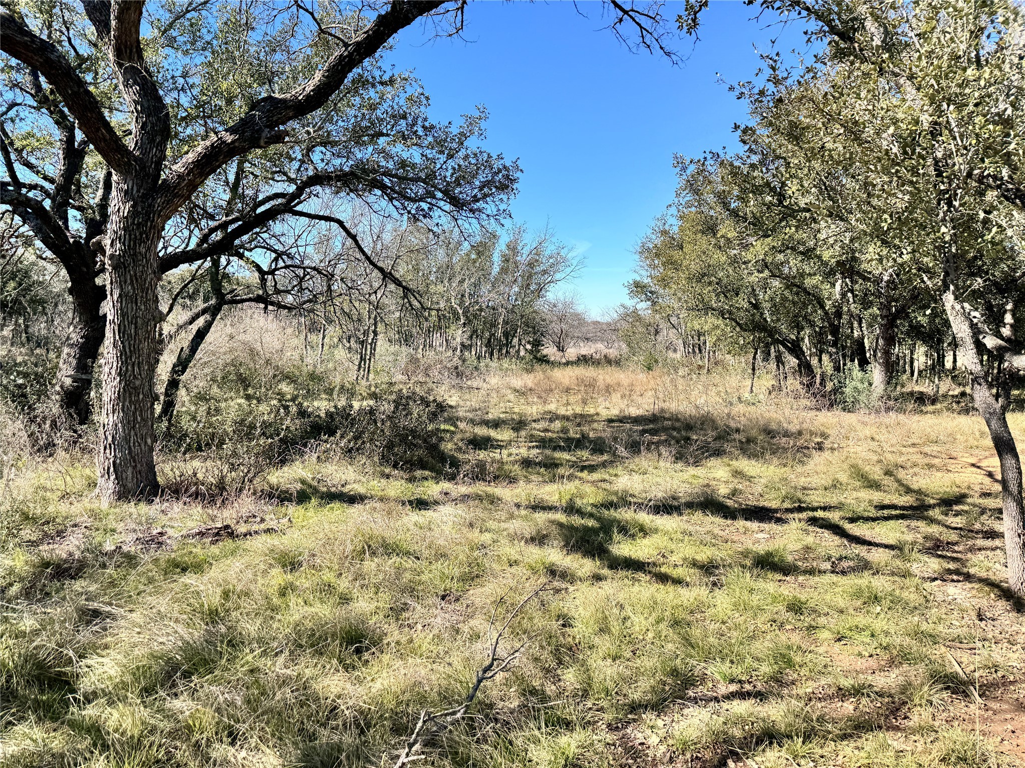 Tbd Lot 240 Feather Bay Drive Brownwood TX 76801