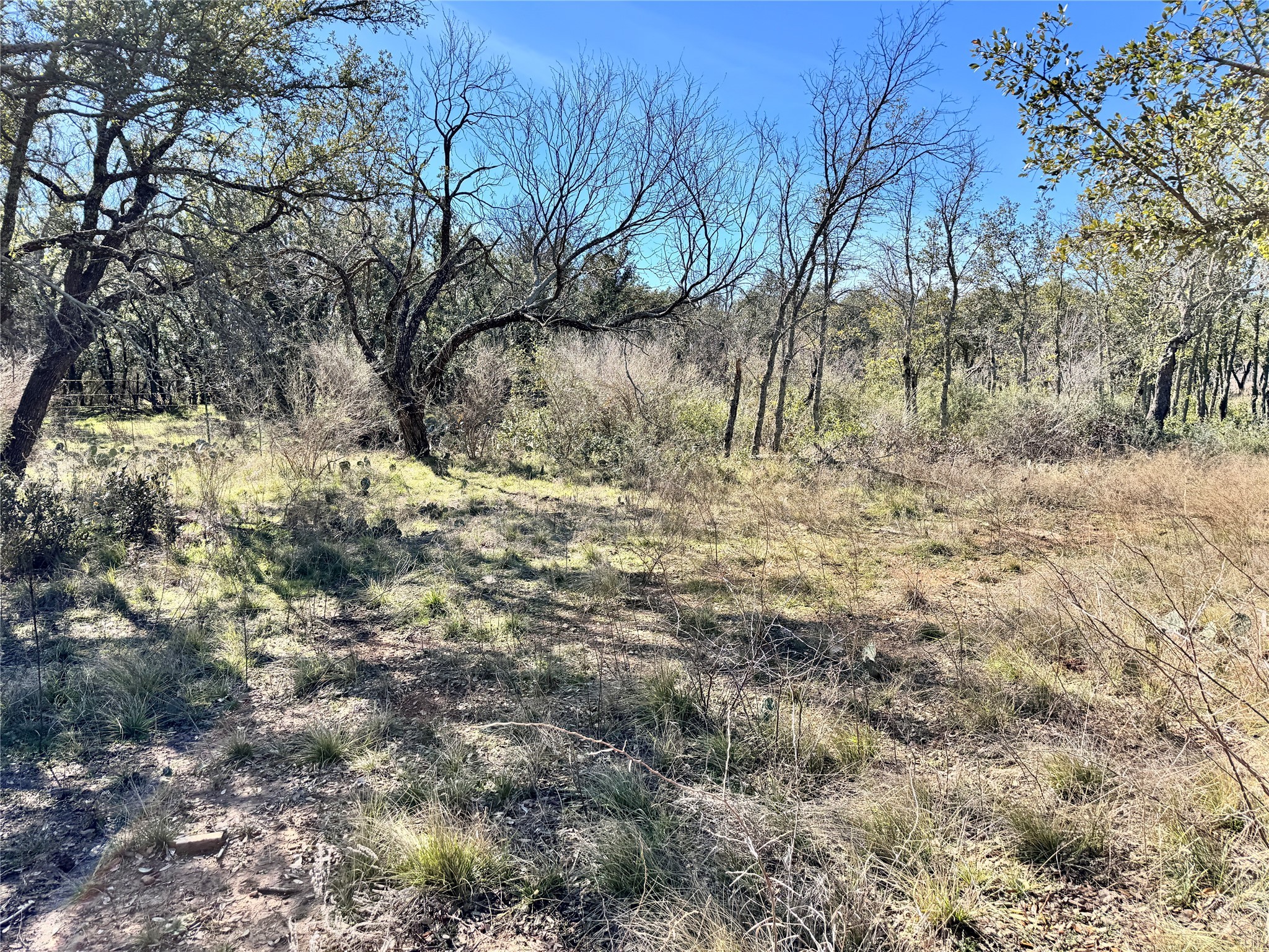 Tbd Lot 240 Feather Bay Drive Brownwood TX 76801