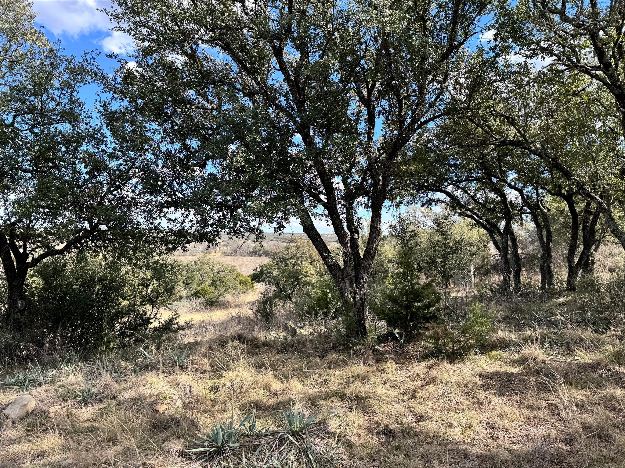 Tbd Lot 240 Feather Bay Drive Brownwood TX 76801
