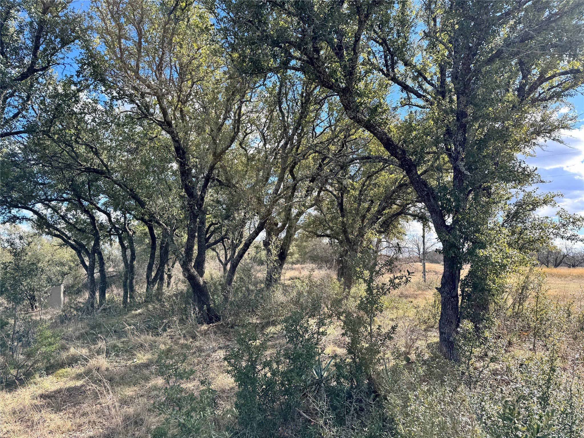 Tbd Lot 240 Feather Bay Drive Brownwood TX 76801